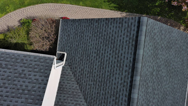 Best Roof Moss and Algae Removal  in Montrose, CO