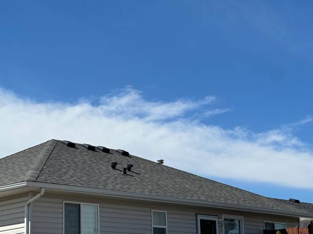 Roof Insulation Installation in Montrose, CO